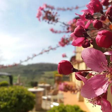 Relais Poggio Borgoni *
