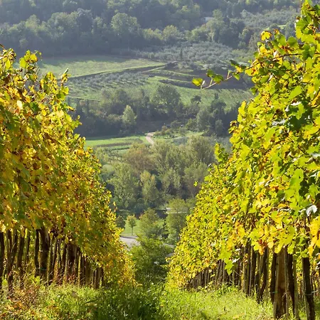 Relais Poggio Borgoni Farm stay